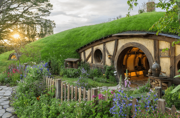Day Trips from Auckland