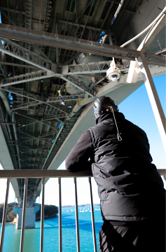 Spectator viewing pod