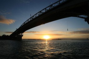 Auckland Bridge Bungy 7