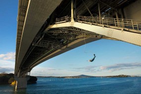 Auckland Bungy 8