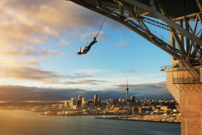 Auckland Bridge Bungy 9