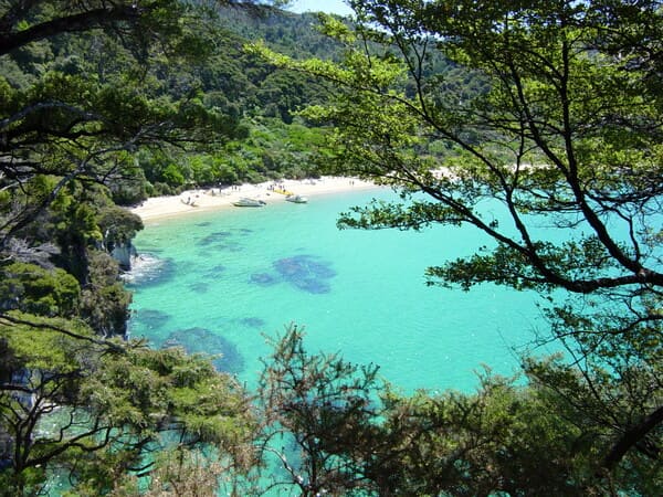 Experience Abel Tasman National Park