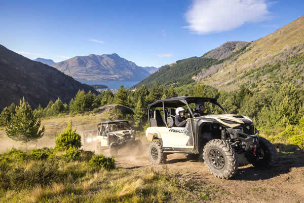 Buggy rides queenstown