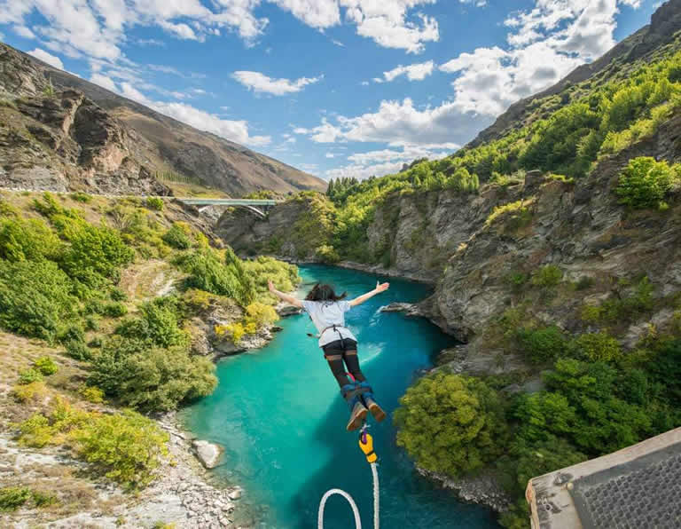 Bungy in Summer