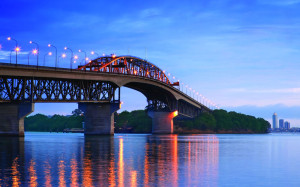 Christmas Work Party at Auckland